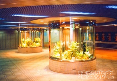 光纖照明，光導照明，地下街的植物裁培