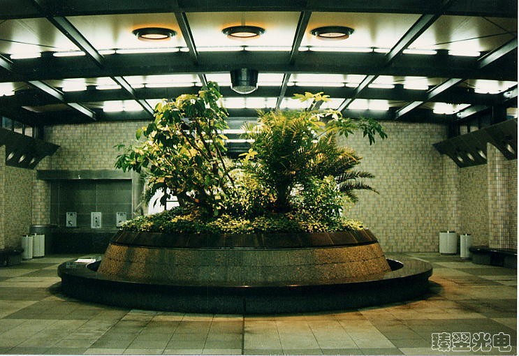 光導照明，光纖照明，室內(nèi)植物照射